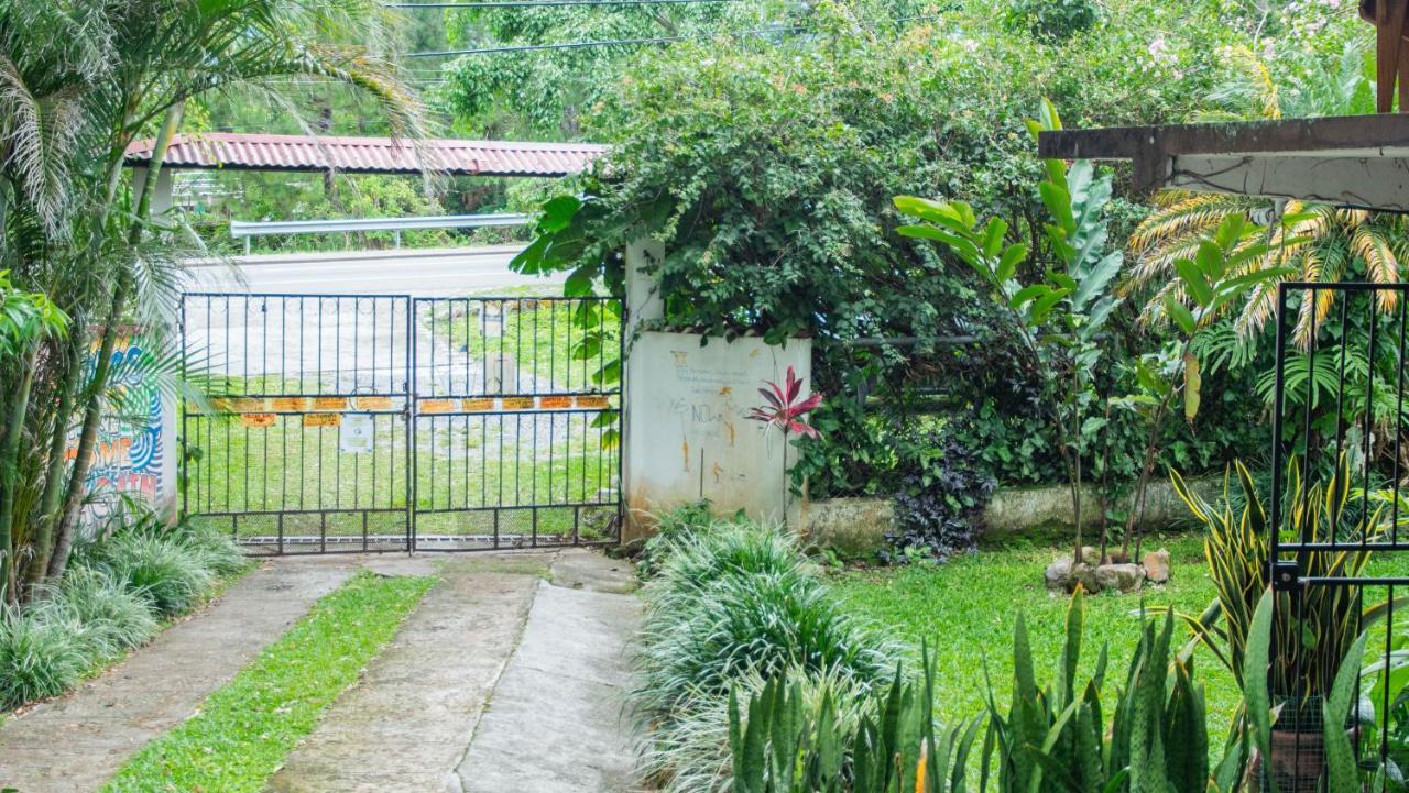 La Jungla Experience Lodgings - Vacation Home And Apartment Boquete Exteriér fotografie