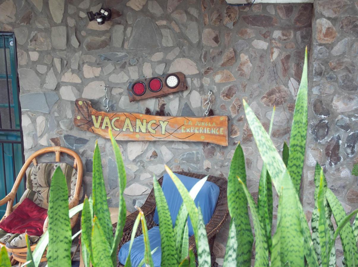 La Jungla Experience Lodgings - Vacation Home And Apartment Boquete Exteriér fotografie